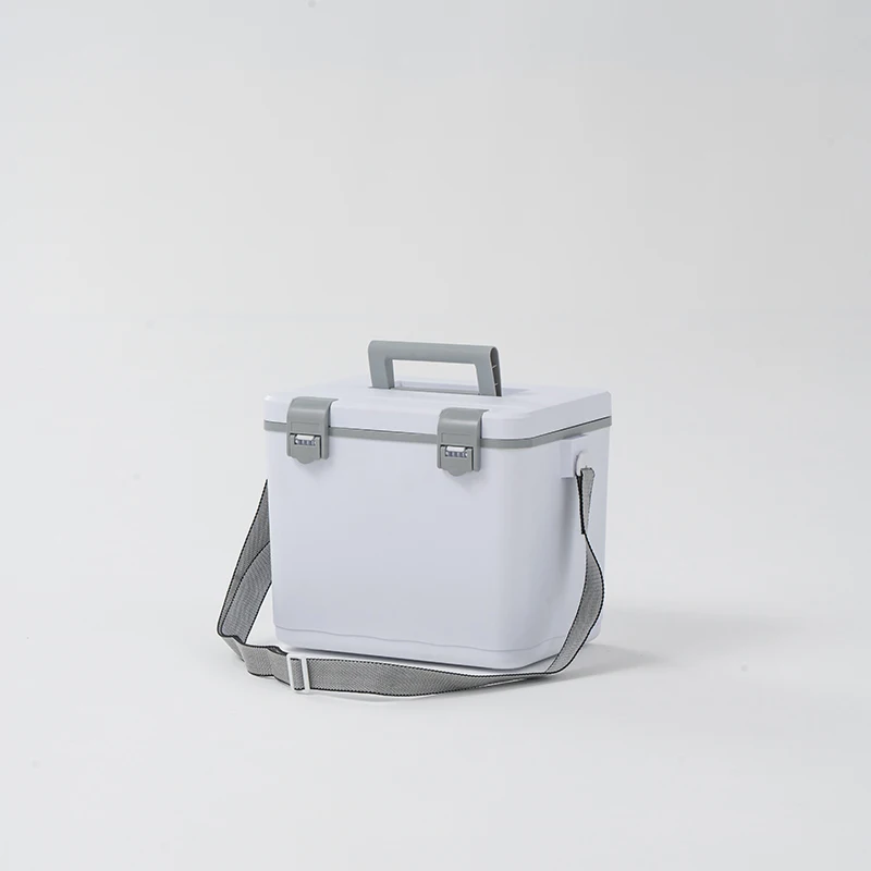 Wholesale Picnic 10L Ice Cooler Box Outdoor Camping Travel Insulation Cooling Box Portable Mini Beer Bucket