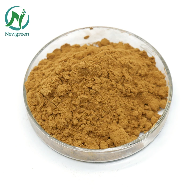 Newgreen Supply High Quality Extract Hot Selling Best Price Puerarin 30% 98%  Extract