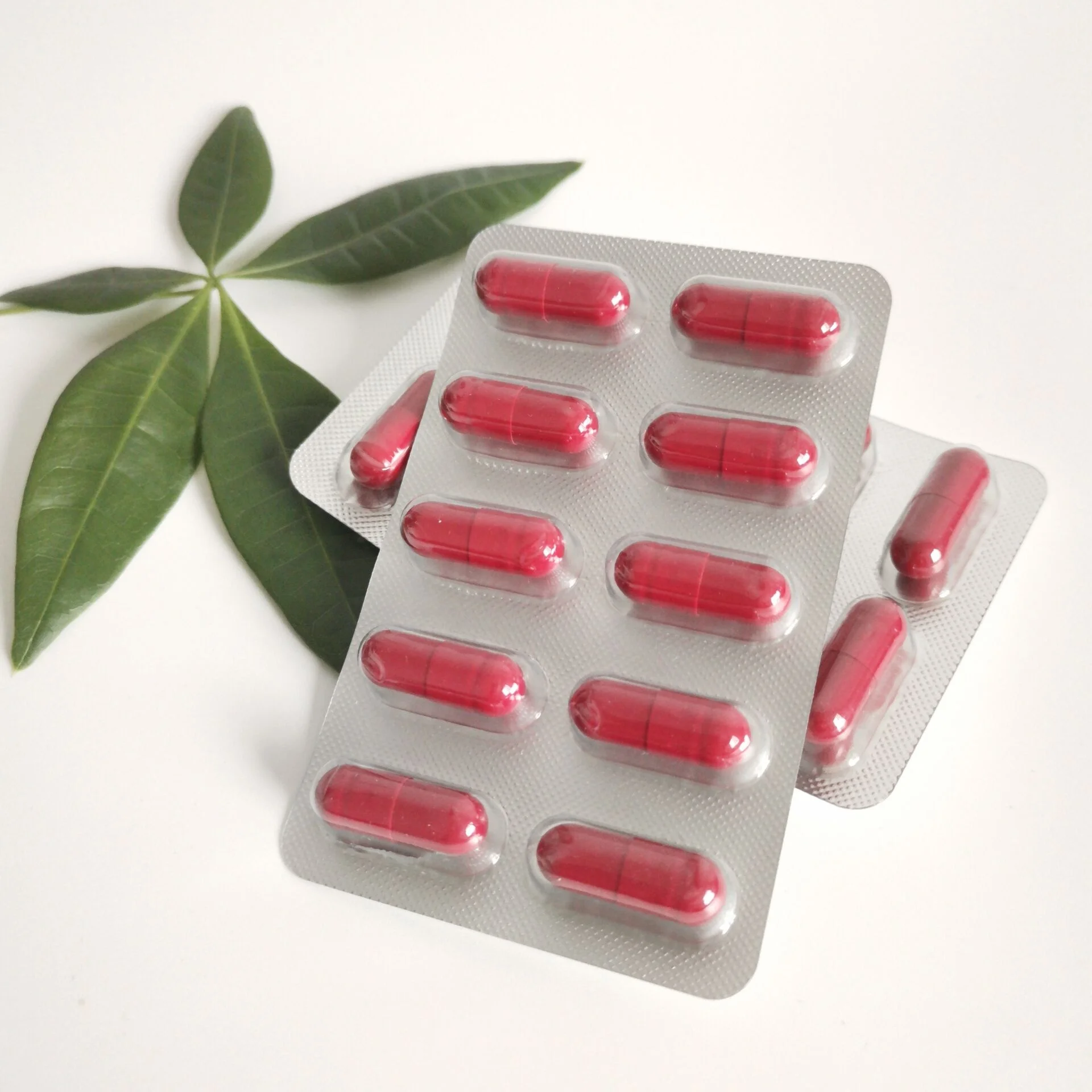 Blister Package Herbal Supplement Horny Goat Weed Epimedium Capsules For Men Health