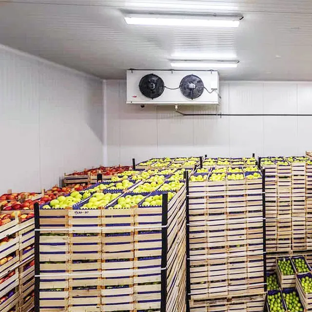 Hot Selling Mobile Movable Portable Cold Room Cherry Cold Storage Cooler Walk in Cold Storage Room For Fresh Fruit