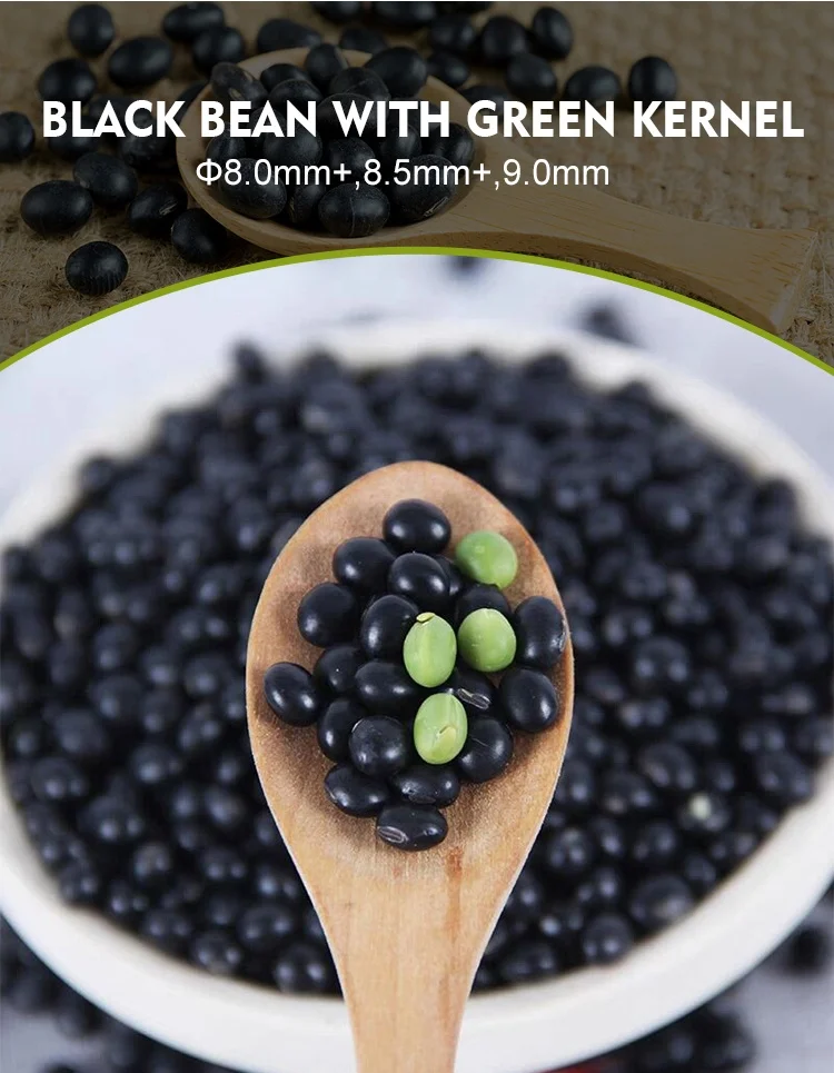 Wholesale best selling High Quality Black kidney Beans