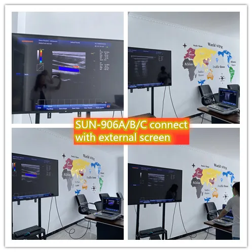  Sunbright китайские цены по прейскуранту завода-изготовителя 15 