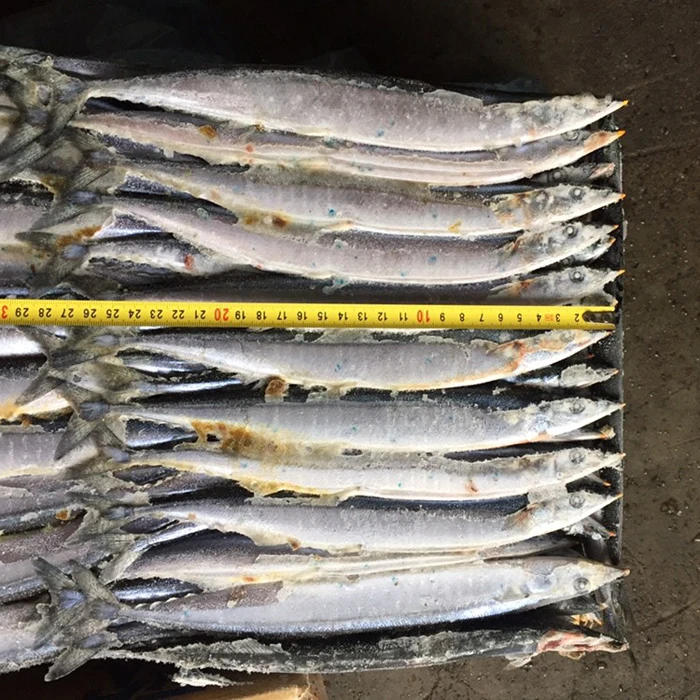 Top Fresh New Coming Frozen Pacific Saury