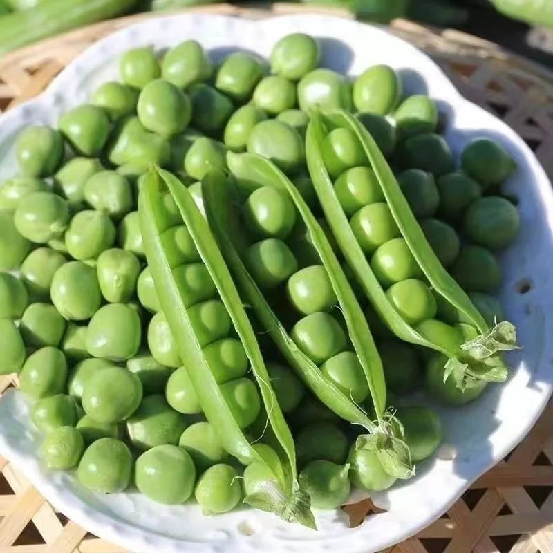 New Harvest Top Quality IQF Frozen Green Soy Bean Kernels Edamame with Brc Grade for Exporting
