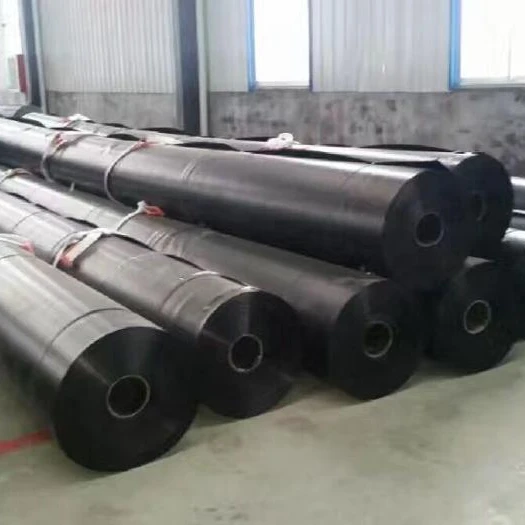 Geomembrane for Aquaculture, fish/shrimp pond liner, slope protection, sea cucumber circles