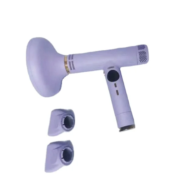 NTC thermistor control rev air reverse air hair dryer professional flight travel negative ion cordless wireless hairdryer