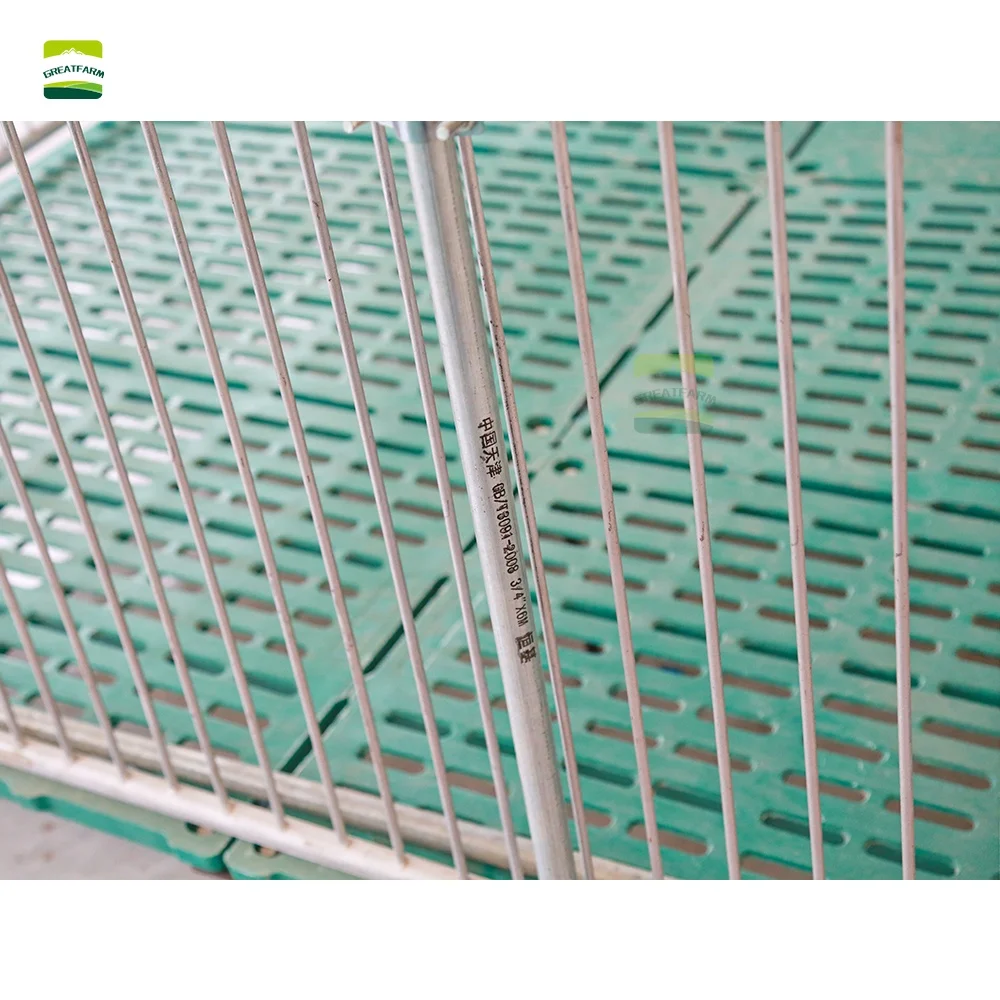 Оцинкованный поросенок из нержавеющей стали для свинофермы