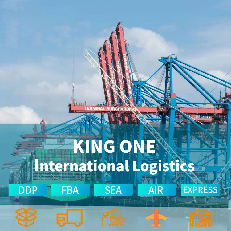 DDP Freight Forwarder LCL+Trucking Shipping Services Covering China Saudi Arabia USA Canada South Africa Iraq UAE Dubai Oman