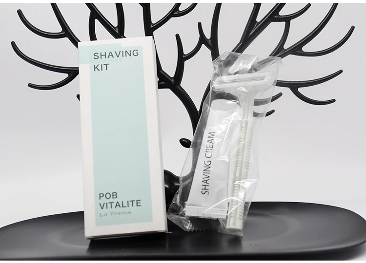 Hot-Selling Eco-Friendly Disposable Toiletries Set with Customized Carton Packaging For Hotel Supplies