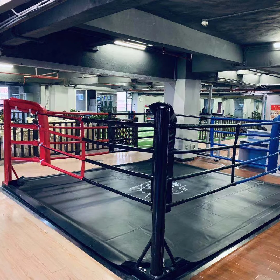 Professional Foldable and Unfoldable Taekwondo Wrestling Judo Easy Assemble And Disassemble Floor Boxing Ring For Sale