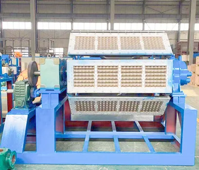 Автоматический ротационный лоток для яиц машина производства бумажных