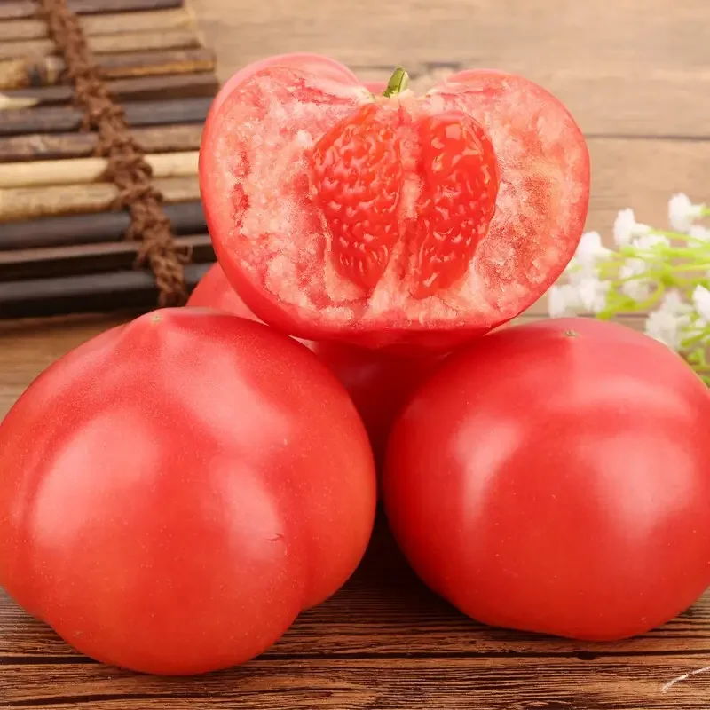 high quality fan qie Lycopersicon esculentum seeds F1 hybrid Red tomato seeds vegetable seeds