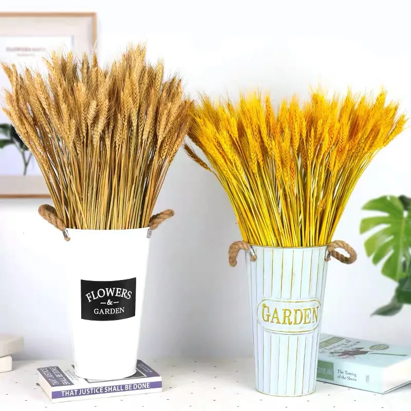 wedding backdrop decorative flowers dried flowers natural wheat grass dry wheat for home decoration