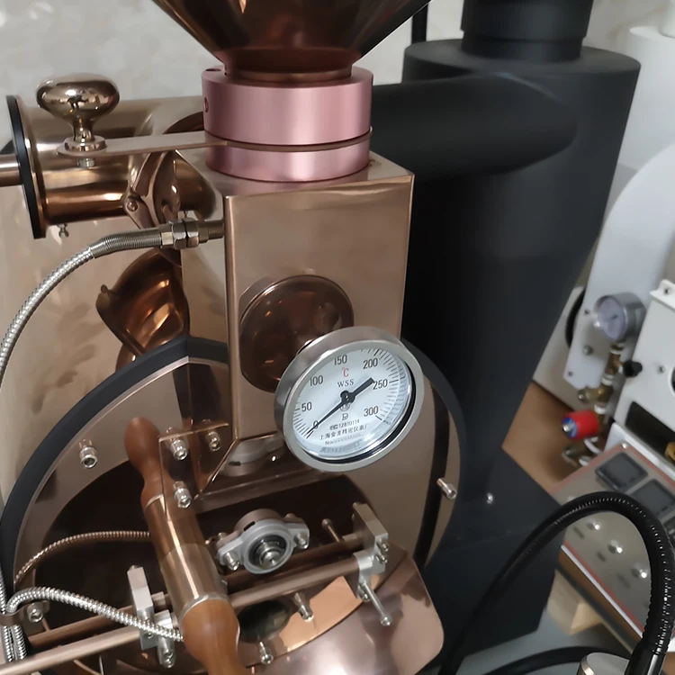 DONGYI Electric&Gas type 1 kg 2kg 3kg 5kg 6kg coffee roaster with Manual damper