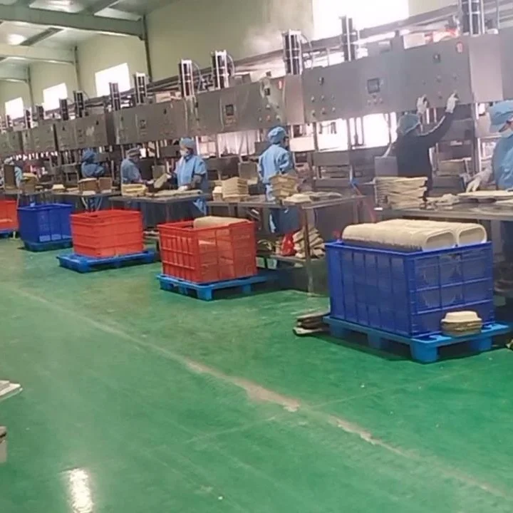 Bagasse Pulp Disposable Paper Cup and Plates Making Machine