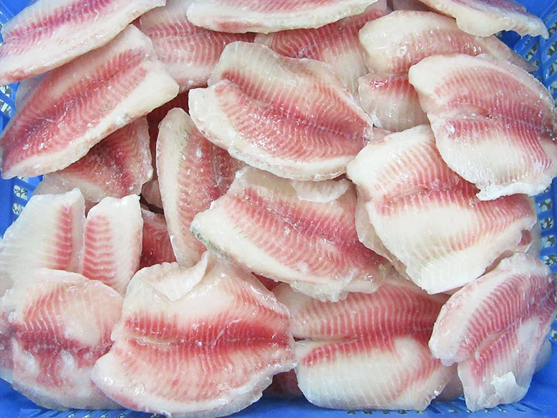 Frozen Black Tilapia Fillet Fish With Factory Price