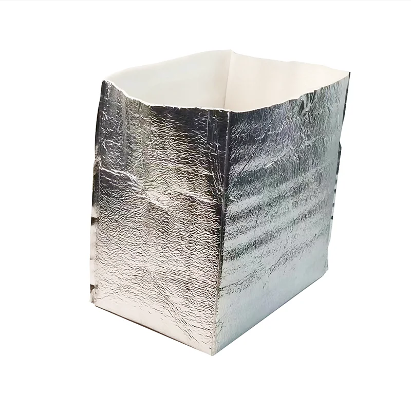 Hot Sale New Fashion Heat Insulation Thermal Bag Silver Aluminum Foil Insulation Collapsible Cooler Bag