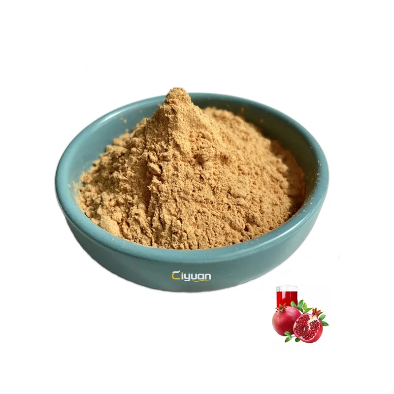 Ellagic Acid 40% 90% Free Sample Pomegranate Peel Extract Powder