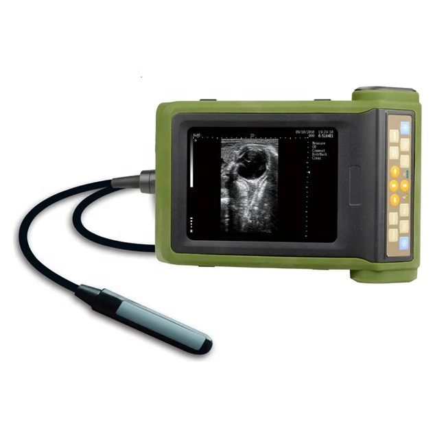 cheap price Vet Ultrasound Portable veterinary Ultrasound machine