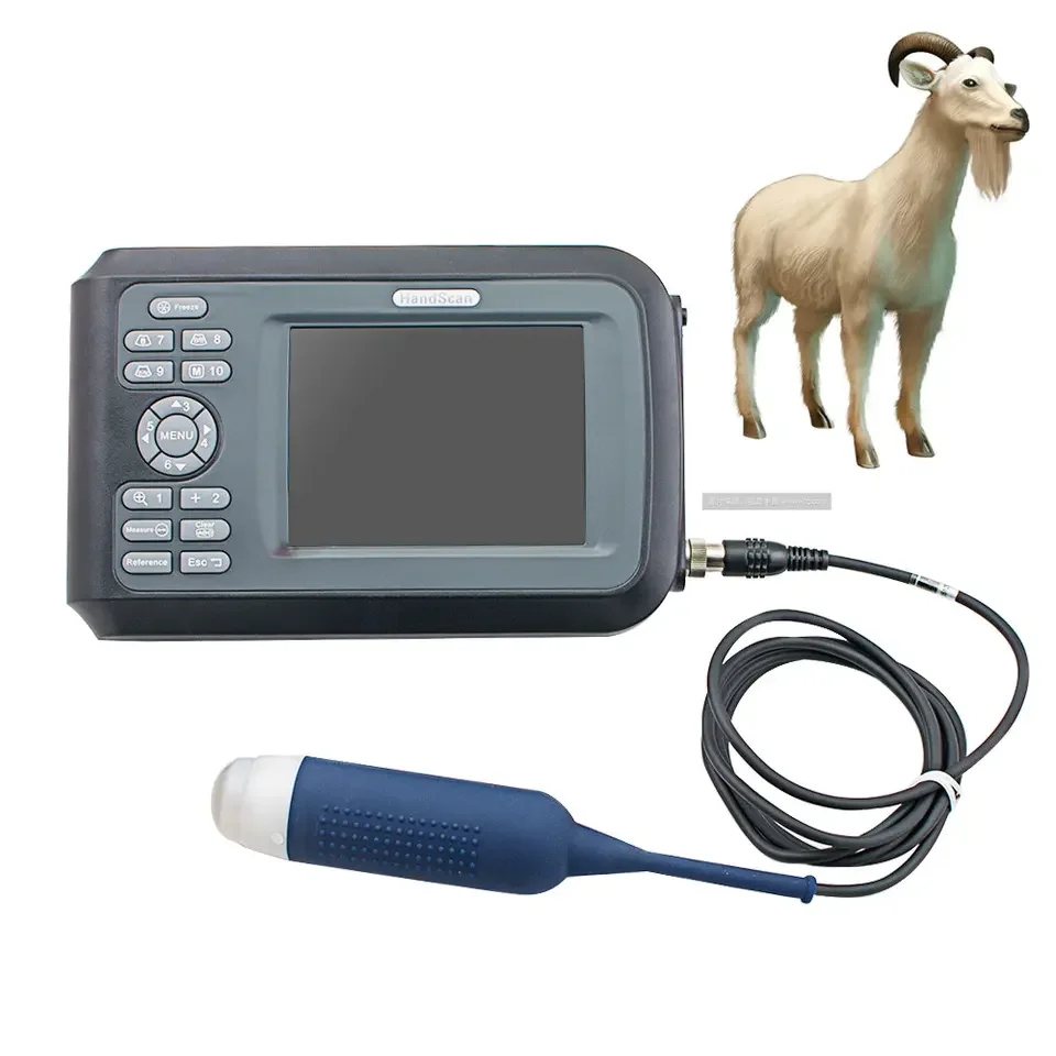 Pocket mini size pregnancy ultrasound scanner ultrasound machine