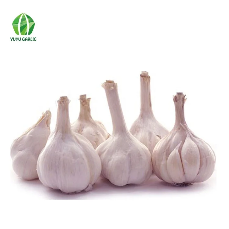 
Wholesale Chinese Natural Bulk Fresh White Garlic Price 