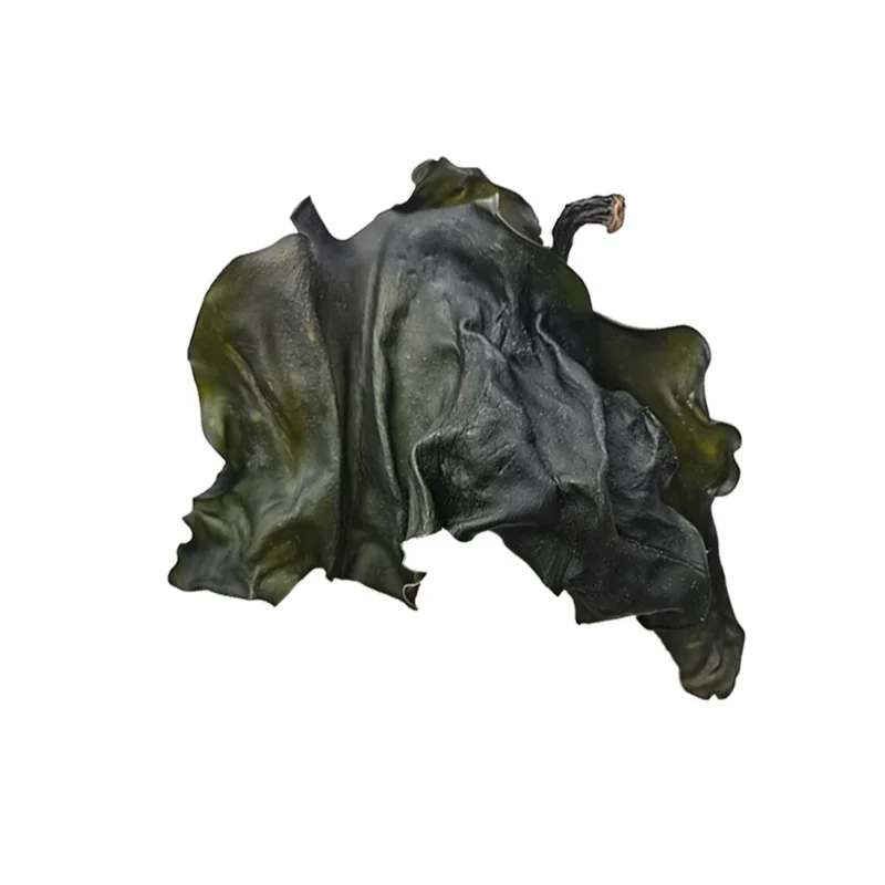 Wholesale Factory Direct Dried kelp supplement Kale seaweed algue dry seaweed