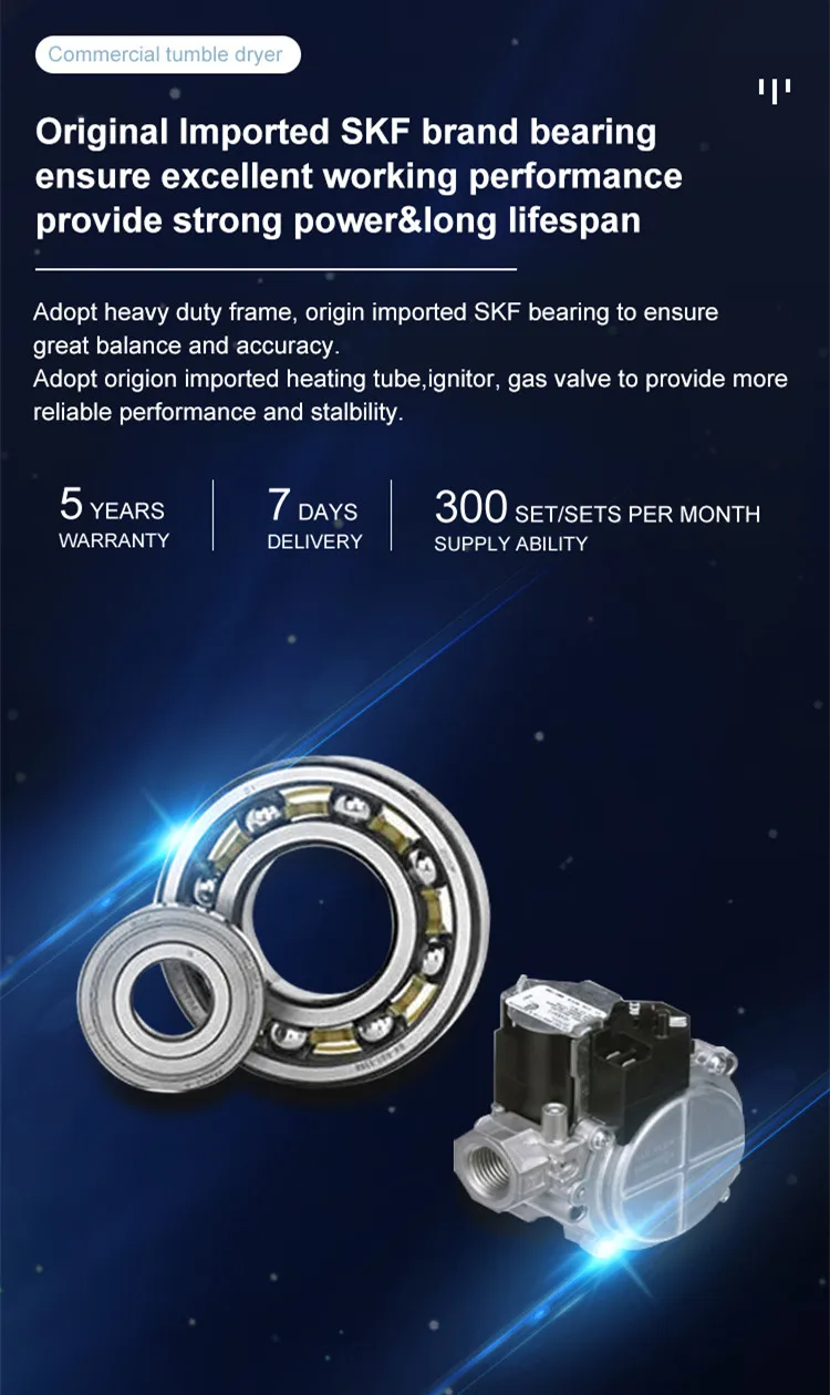 Dryer SKF Bearing.jpg