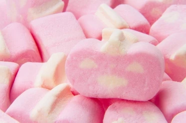 Food-Grade Animal Gelatin for Candies Capsules and Skincare Products  Safe and Effective