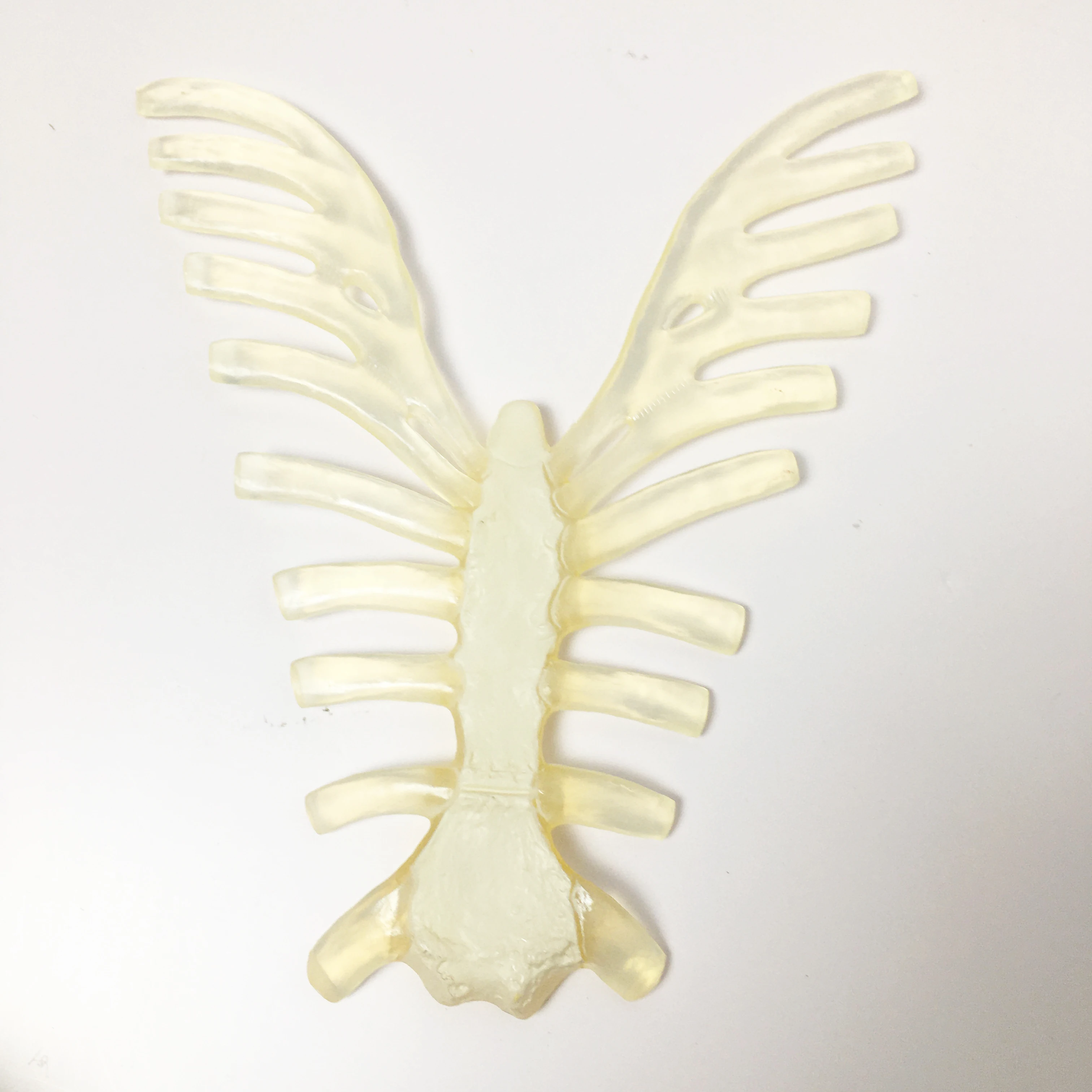 Hospital Medical PVC School Teaching Disarticulated Human Whole Body Scattered Bone Anatomy Skeleton Model With 3-Part Skull