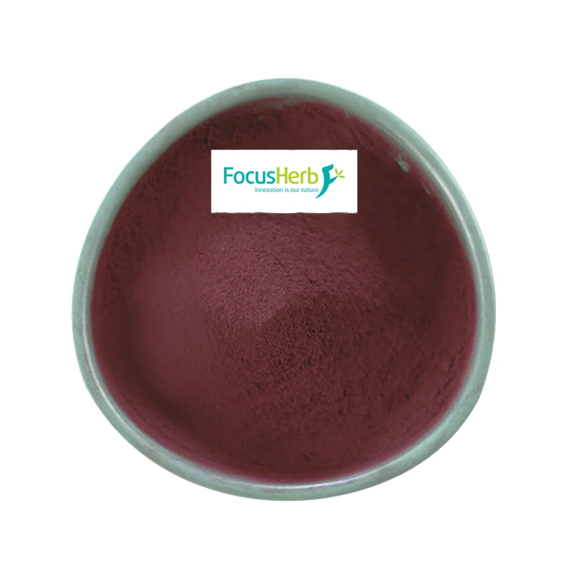 
FocusHerb Hibiscus Sabdariffa Juice Powder Hibiscus Powder 