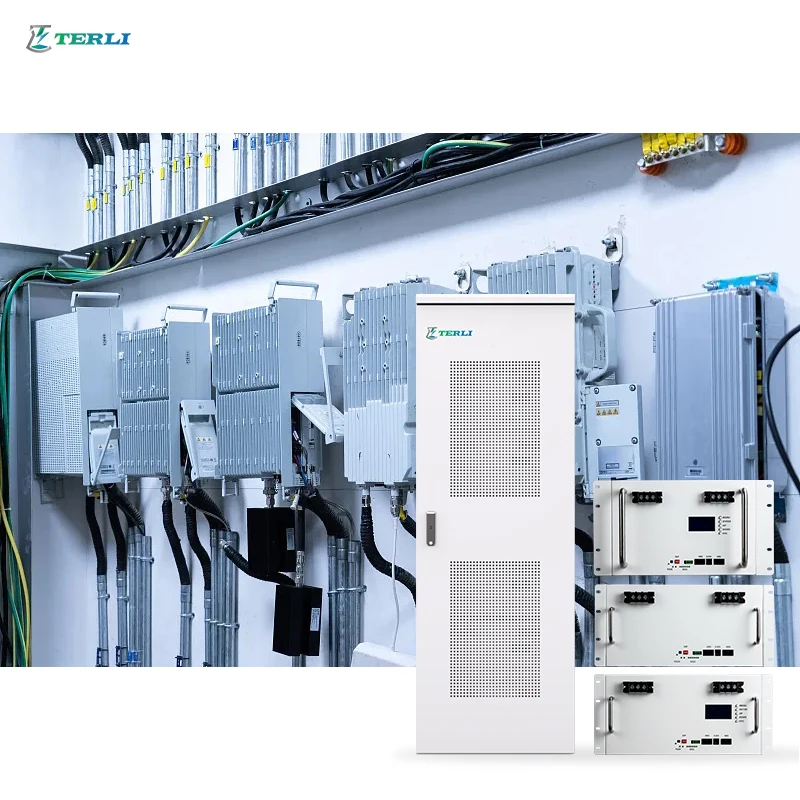 Terli Deep Cycle Long Life Lifepo4 Server Rack Battery 48v 100ah 200ah Lituium Ion Battery