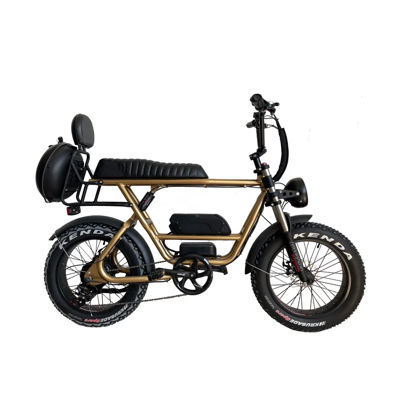 20*4.0 Fat Tire Two Seat Ebike Cargo Electric Bike Snow Beach E Bike