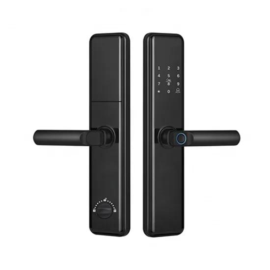 Factory direct sales price tuya  smart digital Black 3d face recognition smart lock entry door lock for Israel hotel