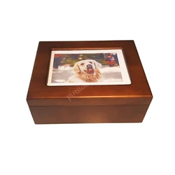 Cat and Dog Pet Cremation Urn