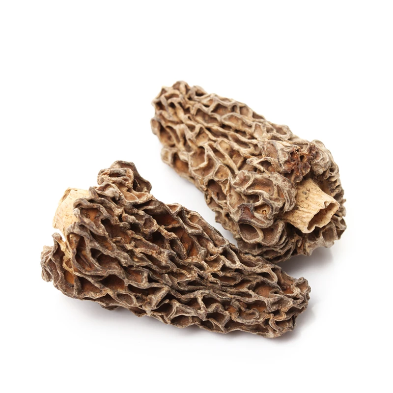 Оптовая продажа питательные и здоровые грибы продукты питания