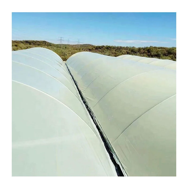 Best Selling Products High Quality Cheap Cheap Pe Film Tunnel Greenhouse Agriculture Diffuse film