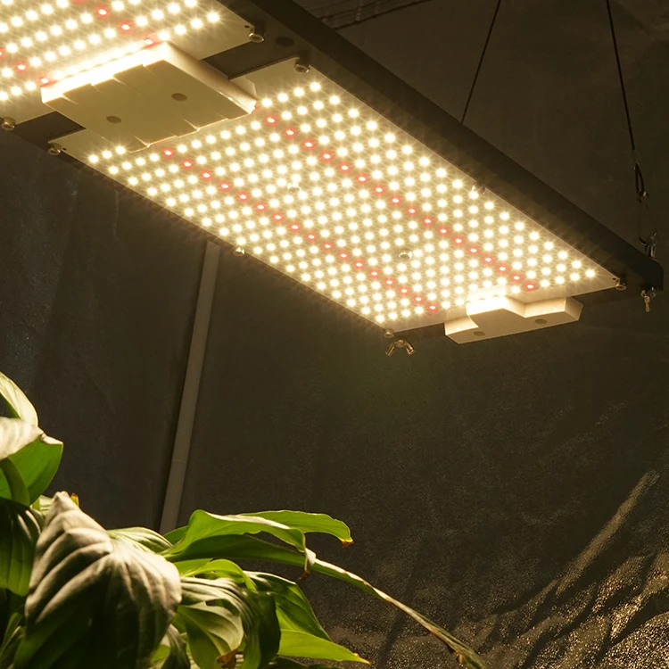 Pre-assembled IP65 KingBrite 240W qb288 led grow light board with lm301h kingbright (flowering and full cycle)