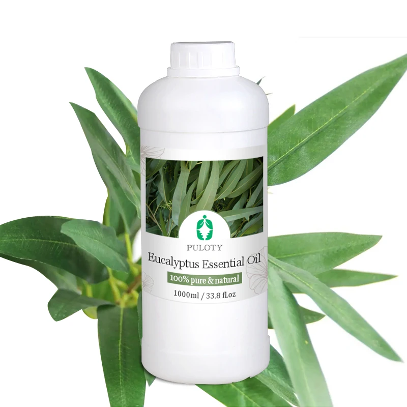 Factory wholesale bulk free sample eucalyptus essential oil private label pure natural undiluted eucalyptus oil for hair care