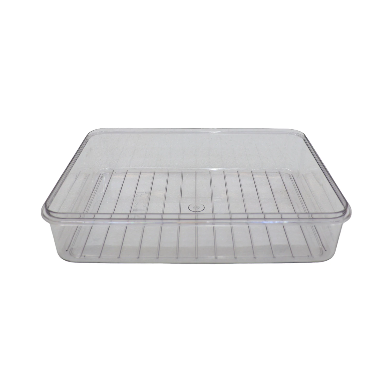 2024 High Quality 8 Compartment Reusable Plastic Lunch Box Food Containers With Transparent Lid