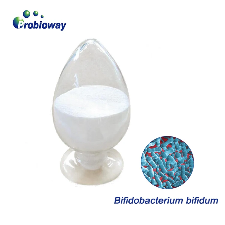 Bifidobacterium bifidum HH-BB27 100 billion cfu/g probiotic powder probiotics bulk food nutritional supplement