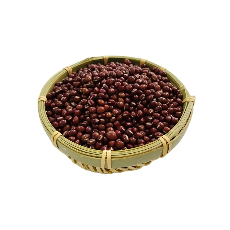 New crop high quality origin china british red  bean