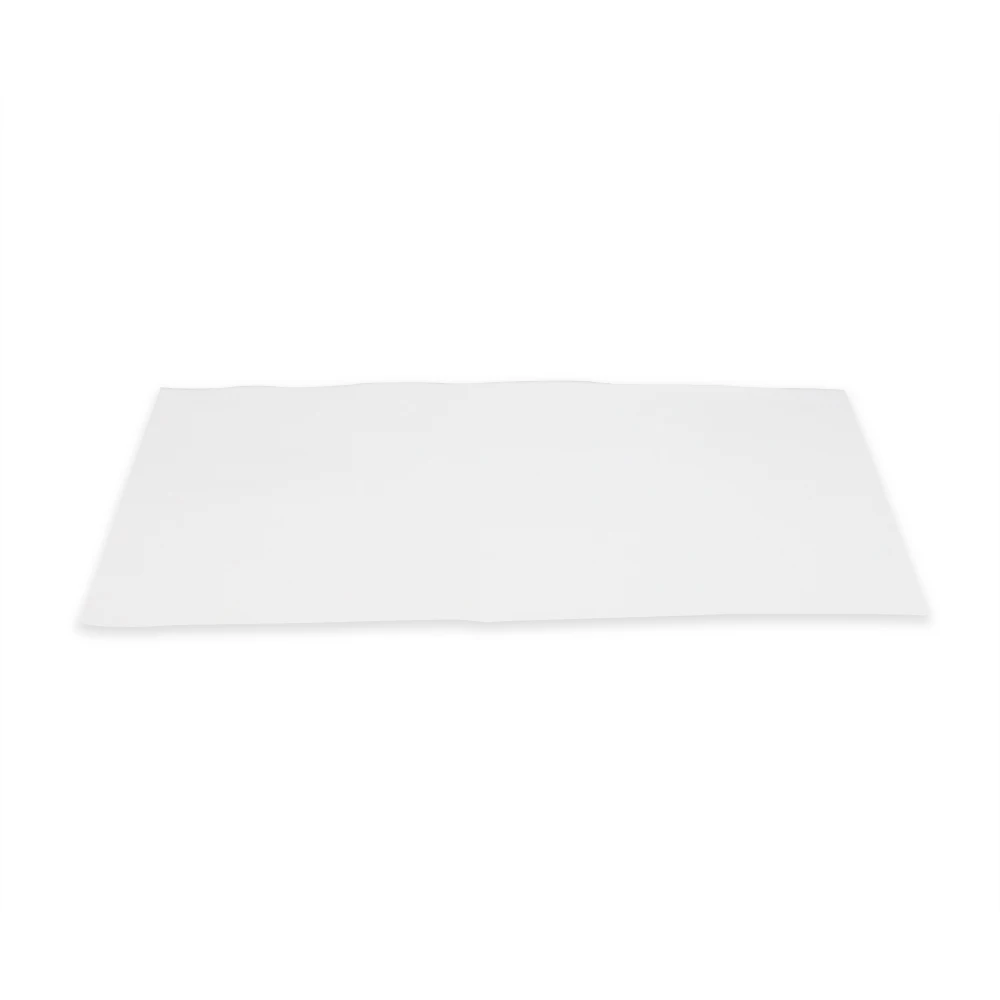 Hot sale Nylon Transfer Membrane, positively charged, 0.45um for Lab use