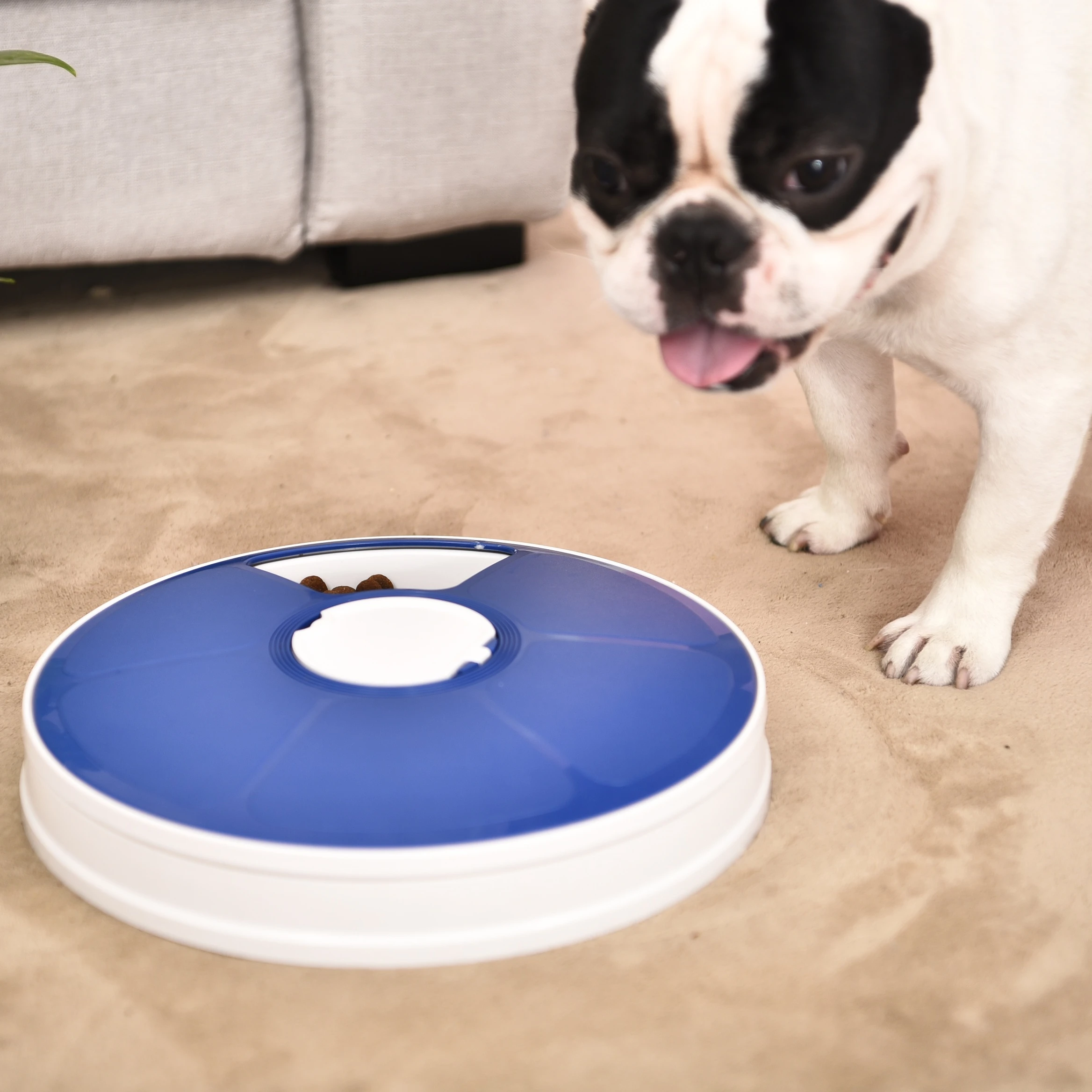 
2020 Wholesale Hot Sale Timed Automatic Pet Food Feeder, 6 Meal Smart Dog Bowl With Digital Timer 