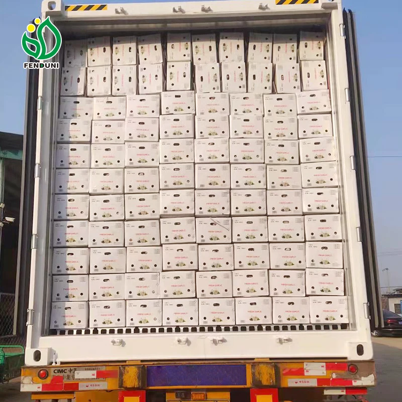2024 New Crop Grade 1 Normal White/Pure White Garlic with Mesh Bag Fresh Garlic From China Factory Direct Supplier