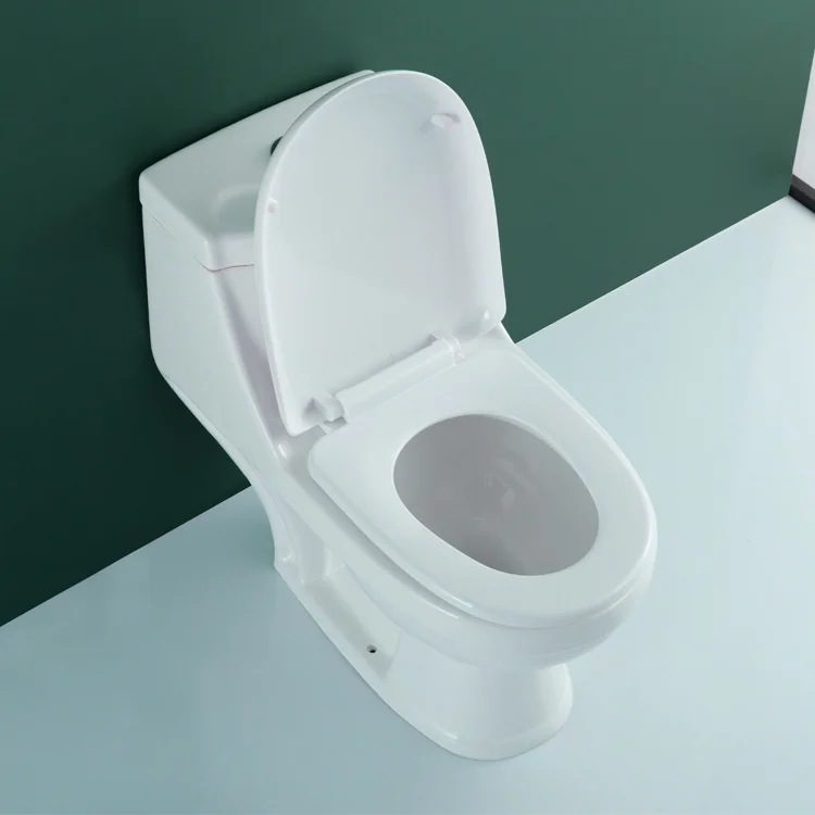 WDSI Toilette Simple Advanced Mobile Toilet Wc Piss Toilet