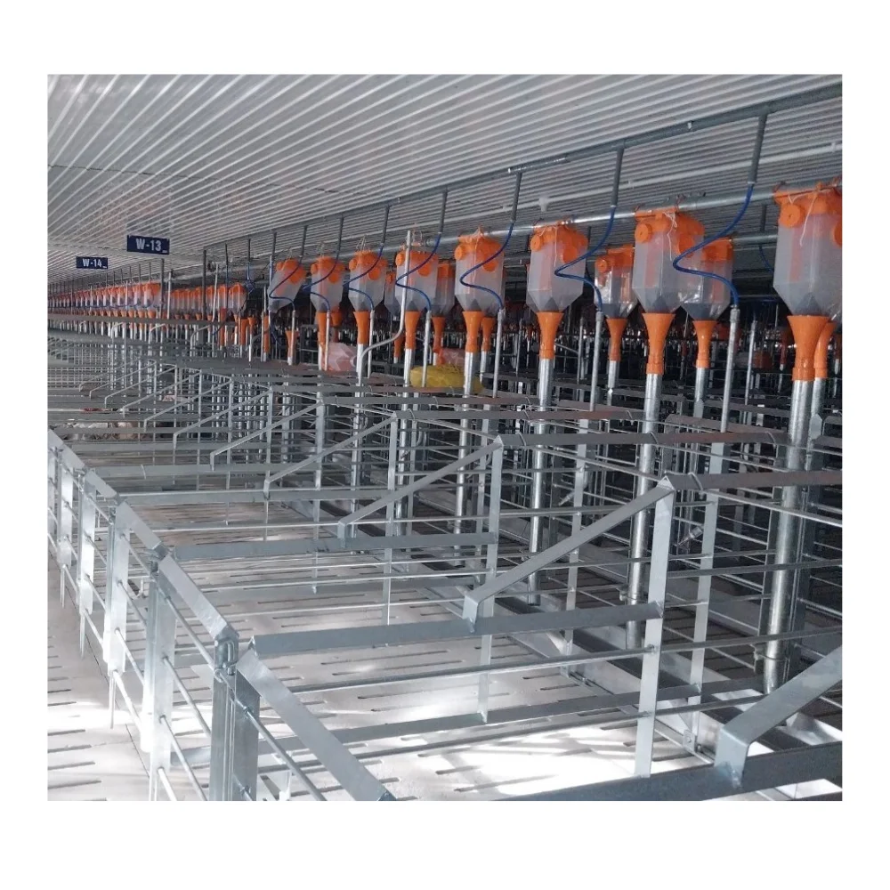 Pregnant pig pen farrowing pig farrowing Hot-dip galvanized 2-door design includes feed chute and cardboard Made in Vietnam