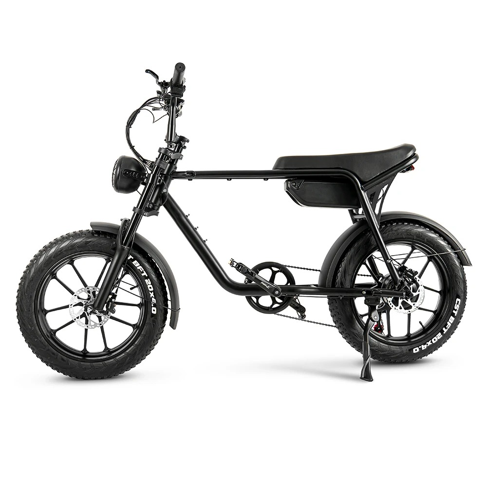 TOODI K20 750/1000W Power Motor Superior Electric Bike Highly Cost Effective Electric Mountain Bike