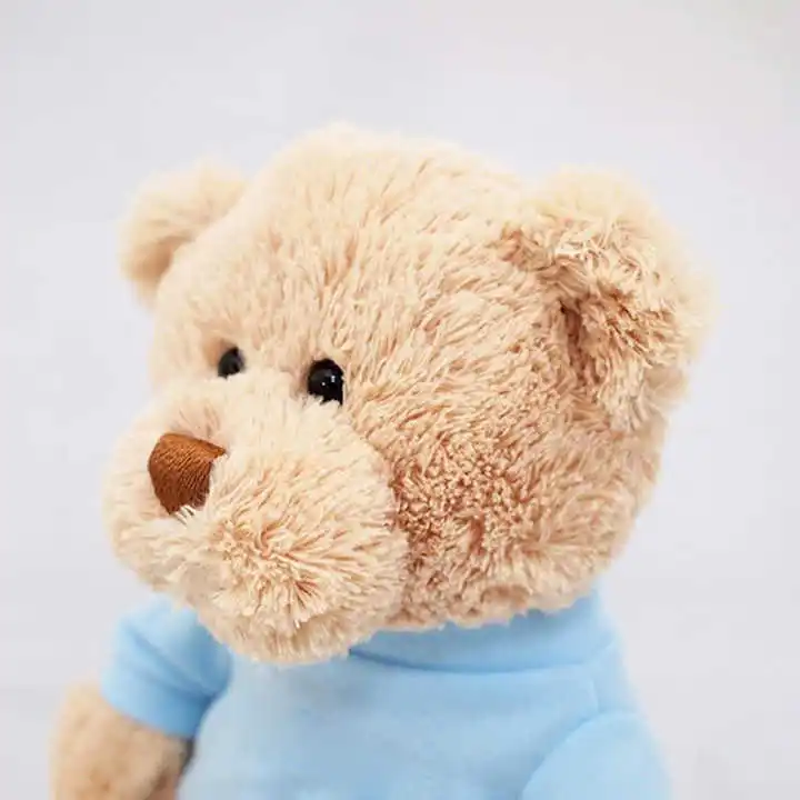 Teddy bear plush toys come with pictures and samples for factory customization