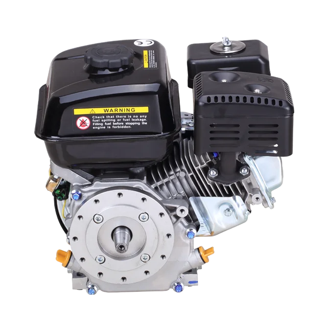 Neat Horizontal Shaft Gasoline Engine With CE/Euro V Certificates