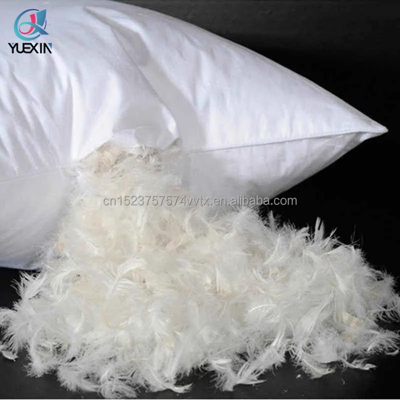 feather pillow 13.jpg